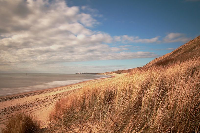 Dune and Beach by Henk Noevers