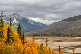 A golden autumn beneath dark clouds by Thomas Röell