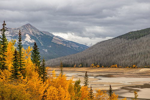 Goldener Herbst unter dunklen Wolken