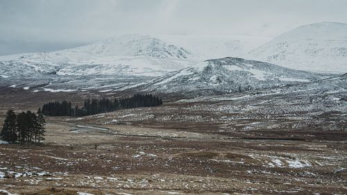 Cairngorms
