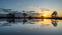 Sunset at Dwingelderveld