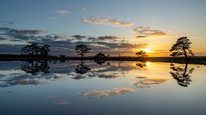 Sunset at Dwingelderveld by Sander Ros