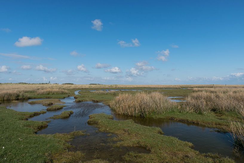 Kwelder landschap op Schiermonnikoog van Patrick Verhoef