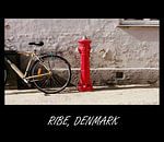 Brandkraan in Ribe, Denemarken van Arnold de Gans thumbnail