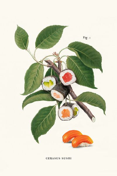 Sushi Plant by Jonas Loose