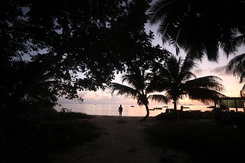 Twilight. Indian Ocean