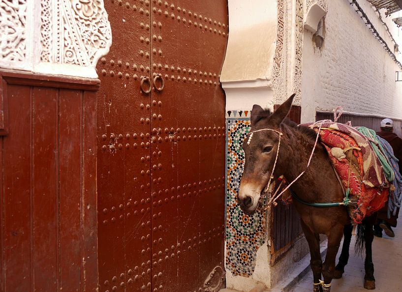Buntes Pferd in den Straßen von Marokko von Gwendolyn Pronk