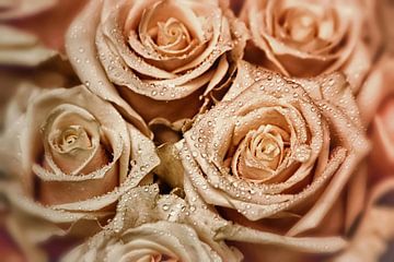 Elegant Roses - Or rose sur marlika art