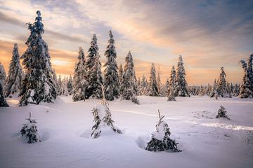 Tellement beau dans le Harz sur Steffen Henze