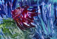 Des couleurs conscientes 17