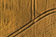 Luftaufnahme eines Getreidefeldes mit Traktorspuren von Marjolijn Maljaars Miniaturansicht