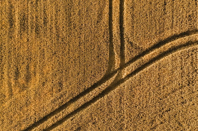 Luftaufnahme eines Getreidefeldes mit Traktorspuren von Marjolijn Maljaars