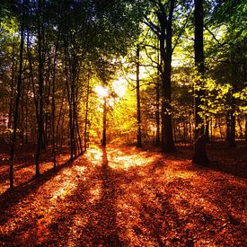 Herfst Tafereel sur Koen Lambooij