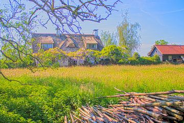 Boerderij tussen de lentebloemen en bomen van Jos van den berg