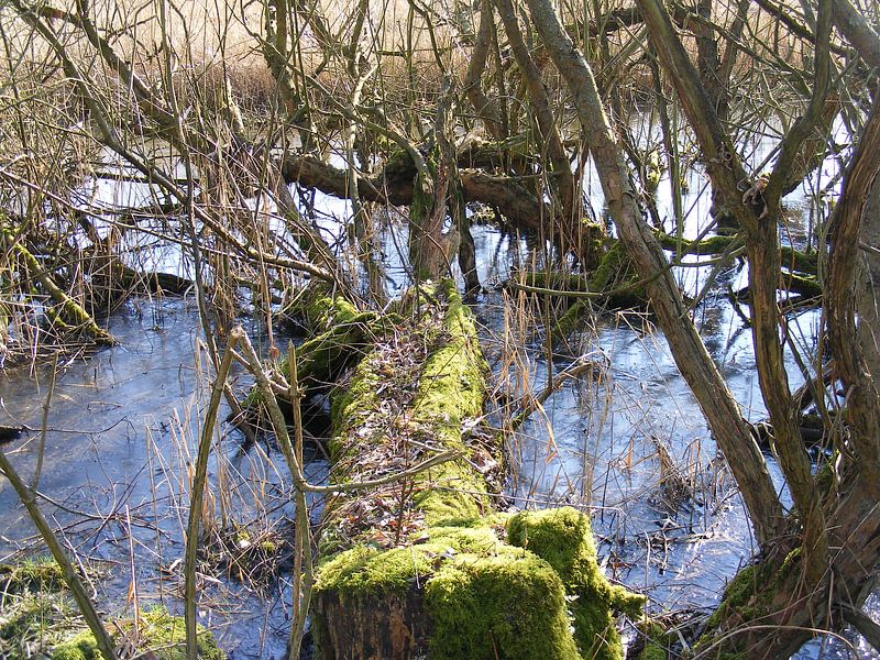 de Haeck Meije von Mirjam van Ginkel