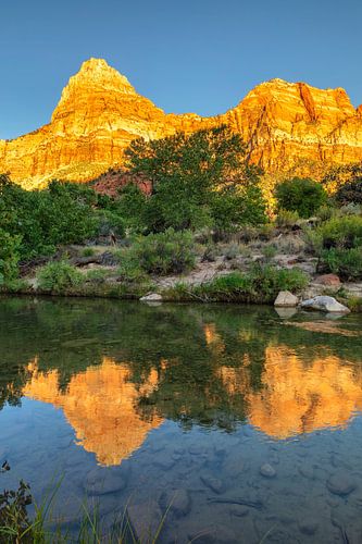 Watchman Mountain au lever du soleil dans le parc national de Zion