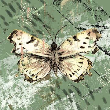 vlinder op legergroene achtergrond van Emiel de Lange