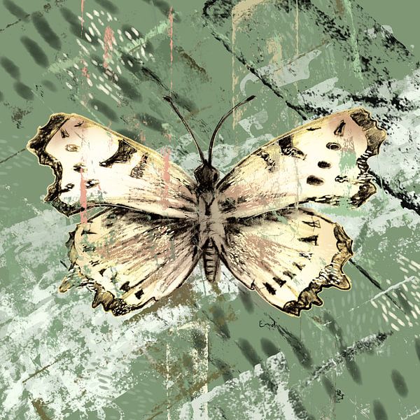 butterfly on army green background by Emiel de Lange