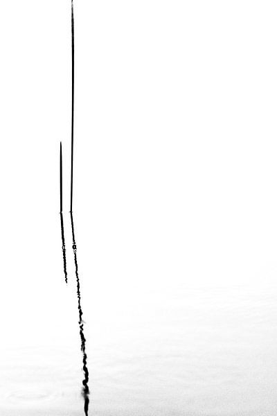 Stripes by Martzen Fotografie