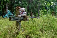 Friedhof der Wahnsinnigen von Danny de Jong Miniaturansicht