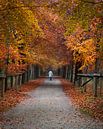 Herfst wandeling van Koen Sachse thumbnail
