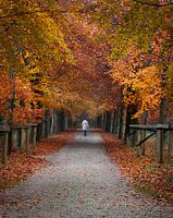 Autumn stroll
