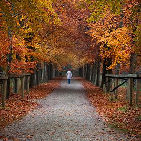 Herbstlicher Spaziergang von Koen Sachse