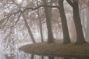 Nebliger Morgen am Teich