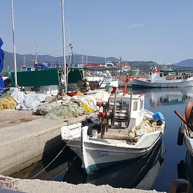 Haven in Lesbos van Desiree Barents