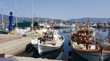 Haven in Lesbos van Desiree Barents
