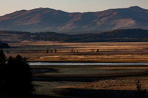 Zonsopgang Yellowstone van Stefan Verheij