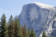 El Capitan, 900 meter hoog graniet monoliet in Yosemite Natinal Park van Henk Alblas thumbnail