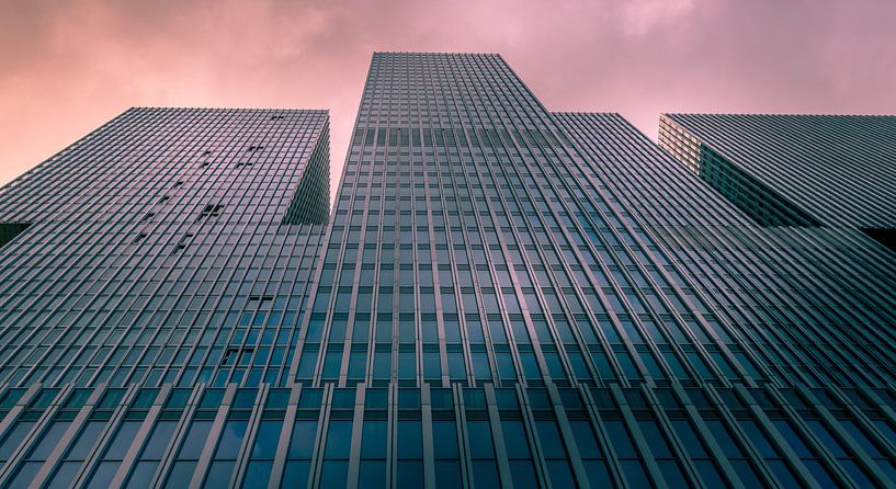 The Rotterdam by Lizanne van Spanje