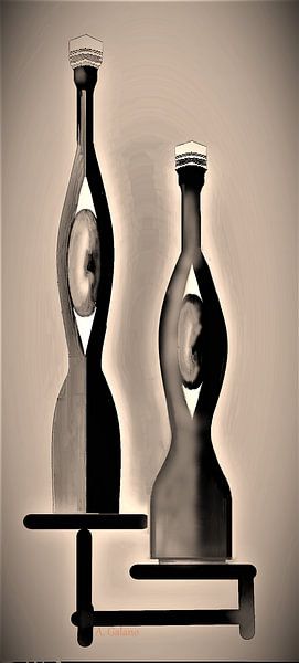 Bouteilles anciennes de vin de fruits par Annaluiza Dovinos