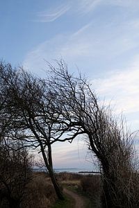 Ruwe Oostzeekust