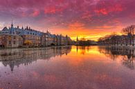 Binnenhof  Den Haag weerspiegeld in de Hofvijver van Rob Kints thumbnail