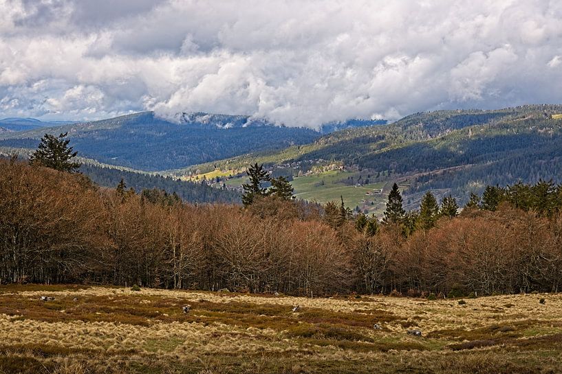 Le Tanet / Vosges / Alsace by Rob Boon