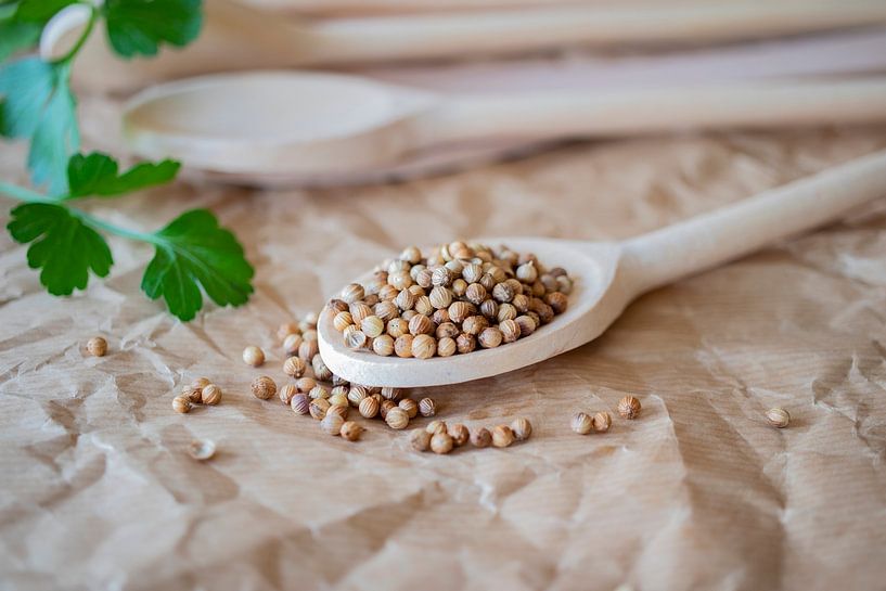 Coriander seed by SuparDisign