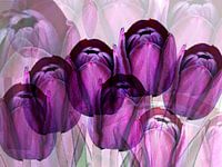 Paarse tulpen creatie
