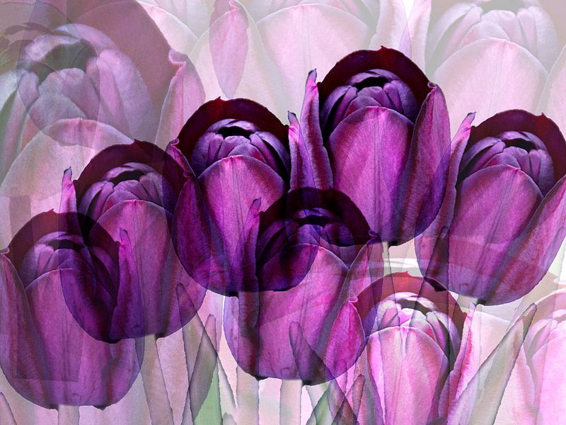 Création de tulipes violettes par Ina Hölzel