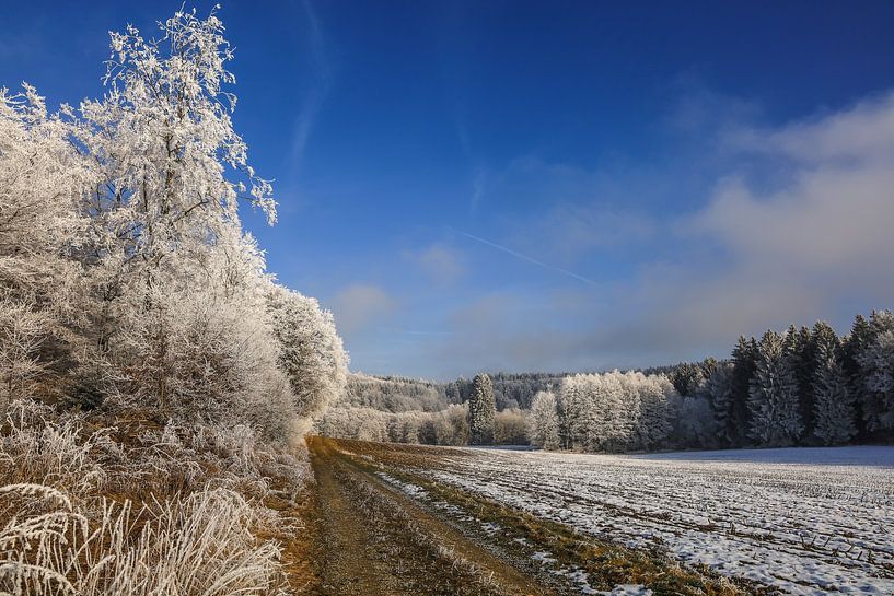 Winterlandschap met zon en rijp bij Stockach - Landkreis Konstanz van BlattArt - Christine Horn
