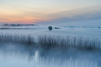 Ein Märchen, dieser Sonnenaufgang mit Bodennebel im Alblasserwaard