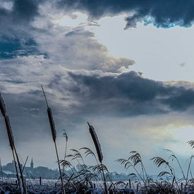 Polderlandschap in de winter van SW Arts