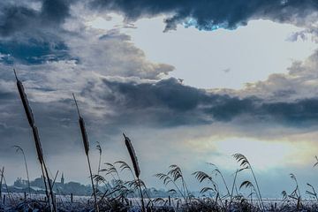 Polder landscape in winter by SW Arts