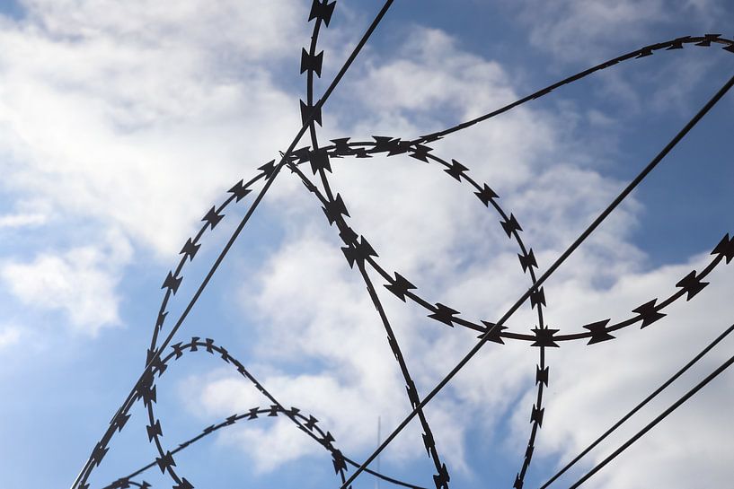 Close up of barbed wire on border fence by MPfoto71