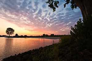 Rivier in brand (zonsopkomst langs de Lek bij Vianen)