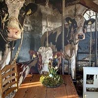 Klantfoto: De koeien van boer Klein van Inge Jansen, als naadloos behang