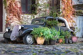 Oldtimer auto in de straten van Colonia del Sacramento, Uruguay. van Jan van Dasler