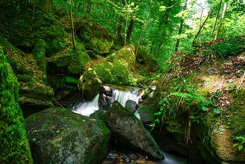 Hallerbachschlucht von Stefan Havadi-Nagy