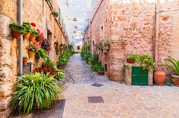 Schöne Blumenstraße auf Mallorca, Valldemossa Dorf von Alex Winter